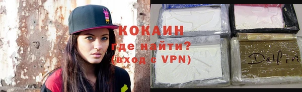 шишки Кодинск