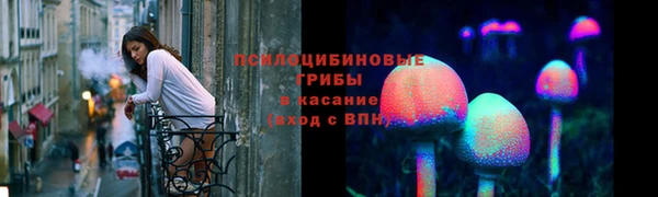 бутират Козловка