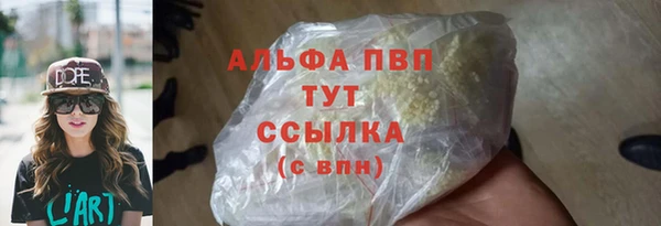 шишки Кодинск
