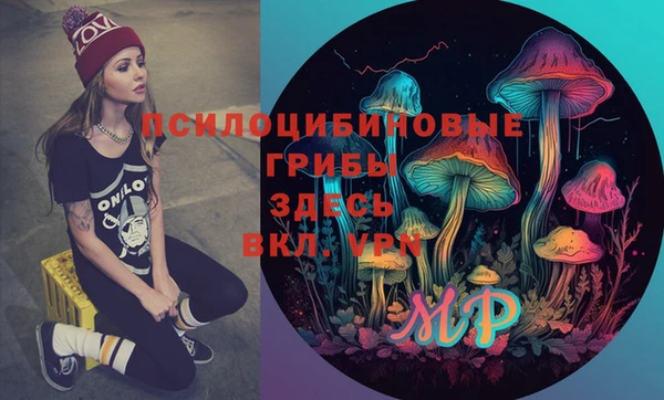 бутират Козловка