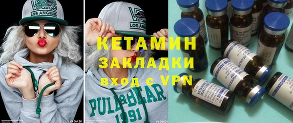 шишки Кодинск