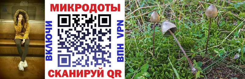 Галлюциногенные грибы ЛСД  Куртамыш 